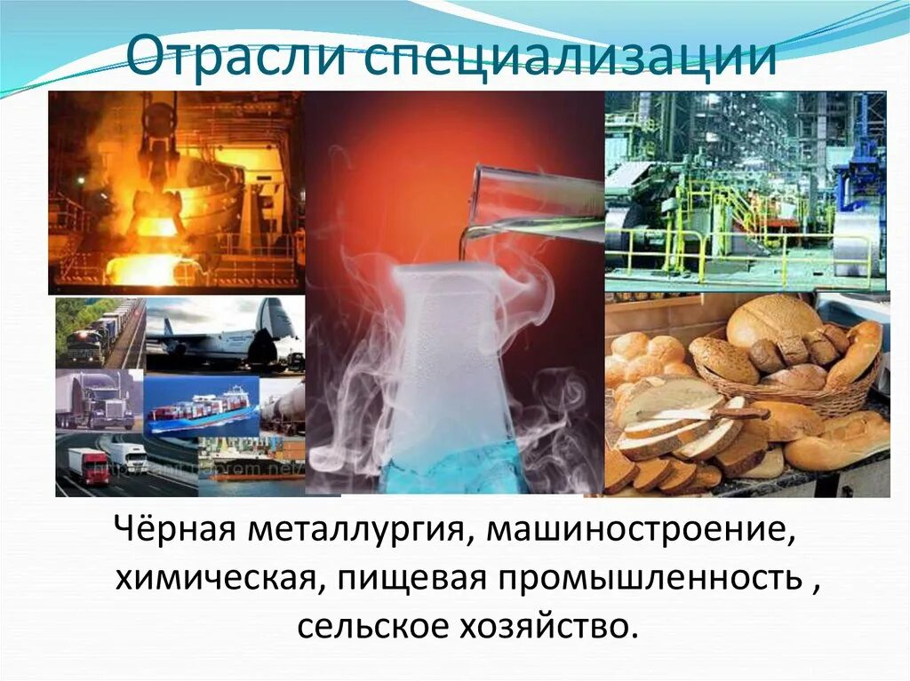 Специализация цчр