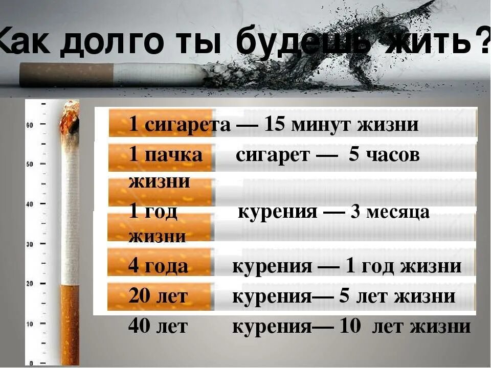 Вред курения таблица. Сигарета. Количество выкуриваемых сигарет. Сигарета и жизнь человека.