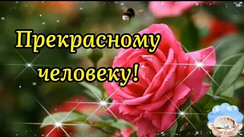 Видео пожелания с песней