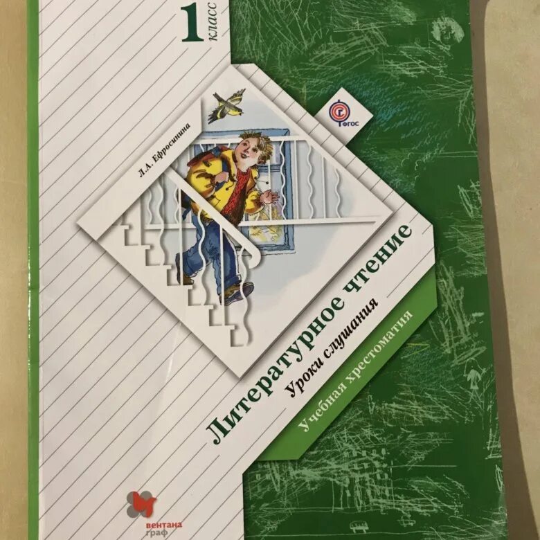 Тетрадь л а ефросинина 3 класса. Школа 21 века литературное чтение. Учебники по литературному чтению школа 21 века. Школа 21 века 1 класс. Литература 5 класс школа 21 века.