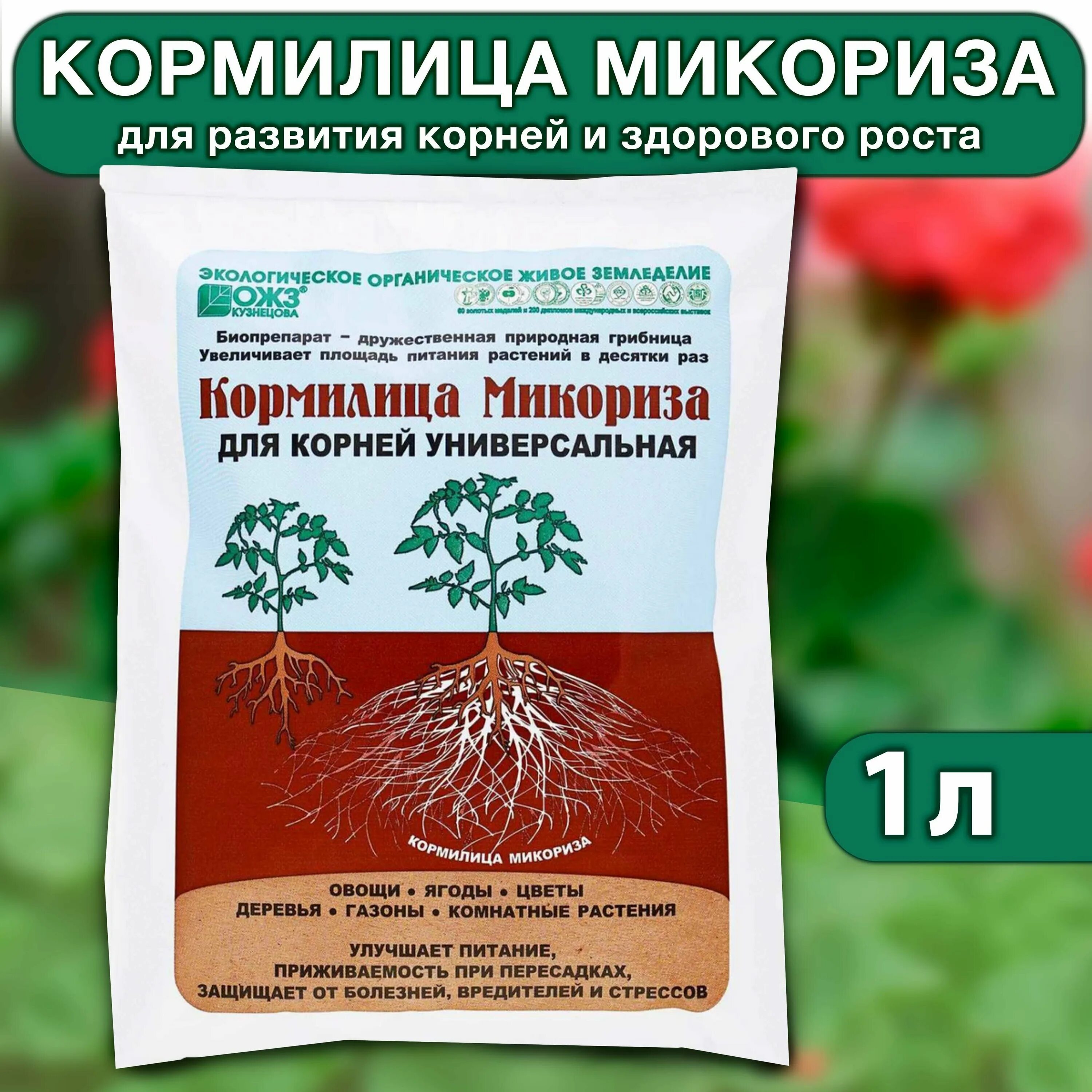 Как использовать микоризу для огурцов