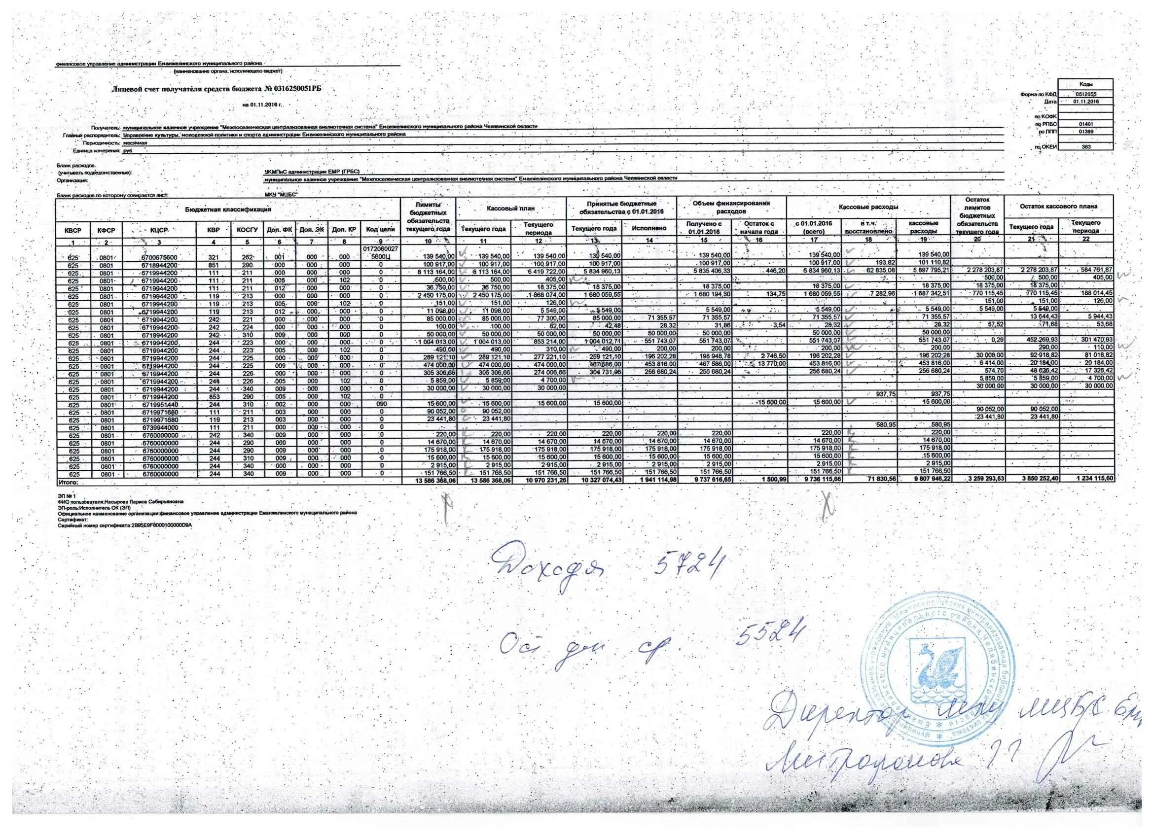 Лицевой счет на квартиру образец. Вид бюджета в лицевом счете.