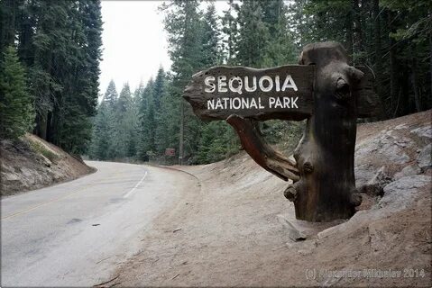 Hard times at sequoia state park