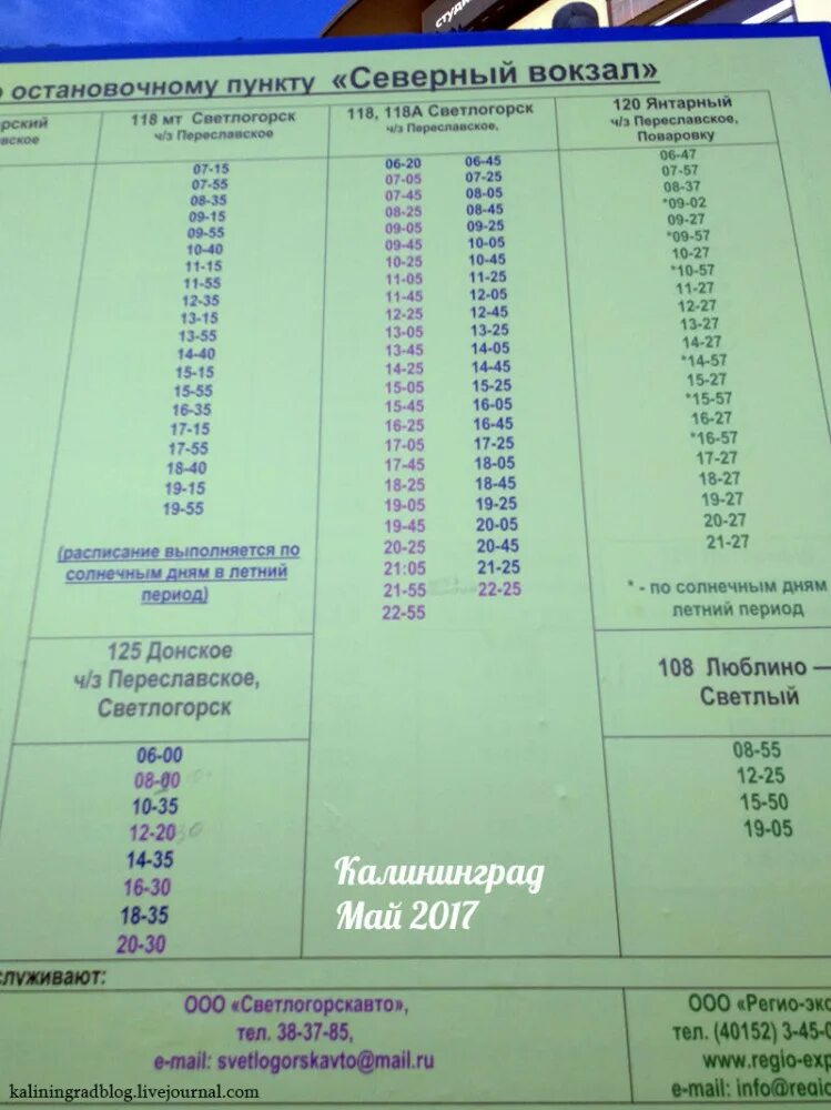 Вокзал южный зеленоградск расписание сегодня. Расписание автобусов Светлогорск Калининград. Автобусы Калининград Северный Светлогорск. Автобус Светлогорск Донское 125. Расписание автобусов Светлогорск Янтарный.