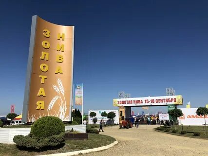 Золотая нива