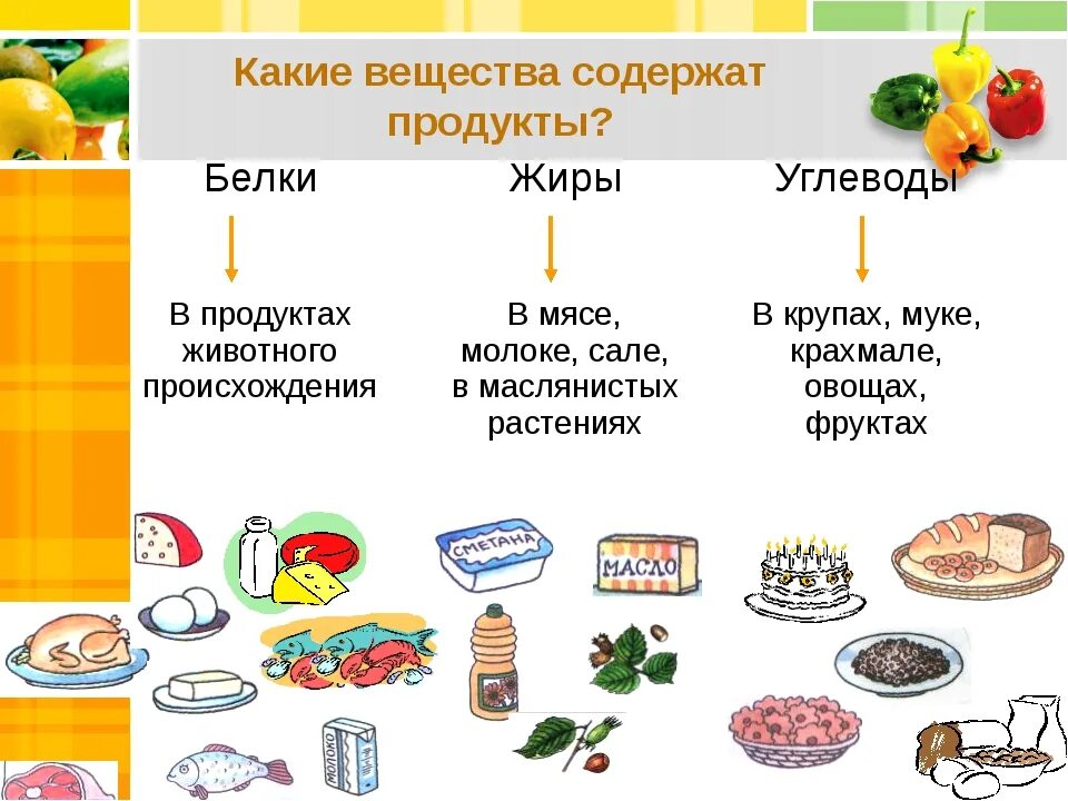 Сало углеводы жиры. Таблица продуктов питания белки жиры углеводы. 3 продукта содержащие белки, жиры,углеводы. белки жиры углеводы в продуктах растительного происхождения. продукты богатые углеводами жирами и белками таблица 4 класс.
