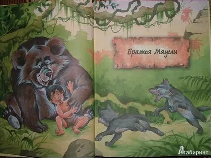 Братья маугли