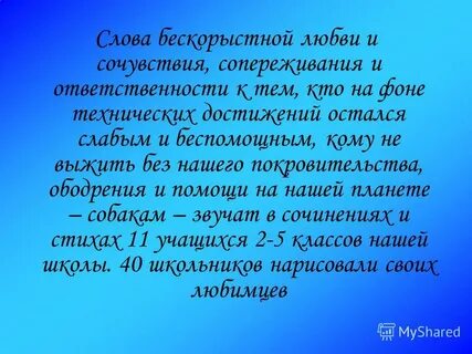 Мини сочинение собаки лучшие друзья людей