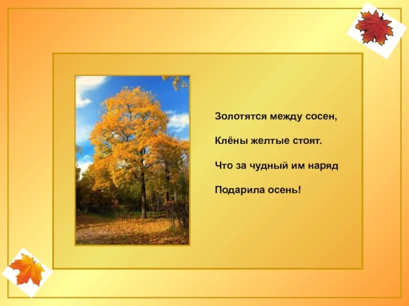 Песня между сосен. За что любят осень. За что я люблю осень. Я осень люблю осень за. Проект за что я люблю осень.