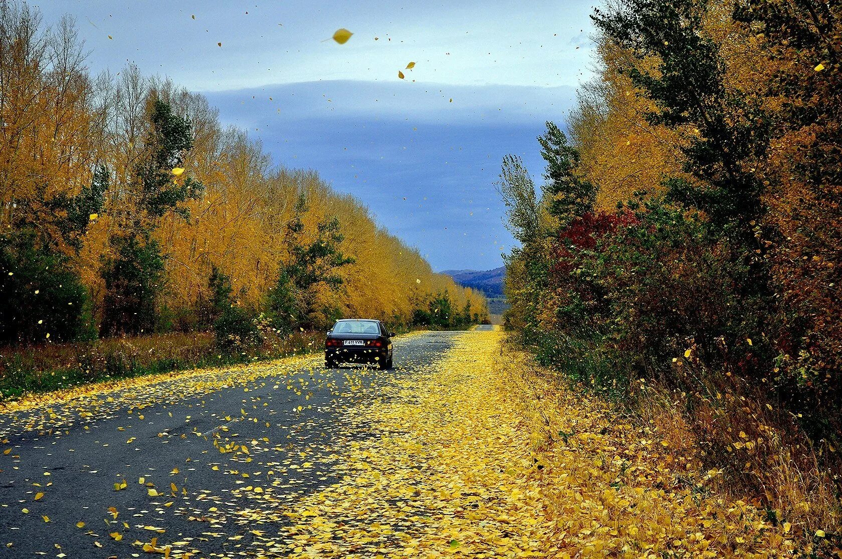 Осенняя дорога. Дорога в осень. Осенний пейзаж дорога. Осень дорога дождь.