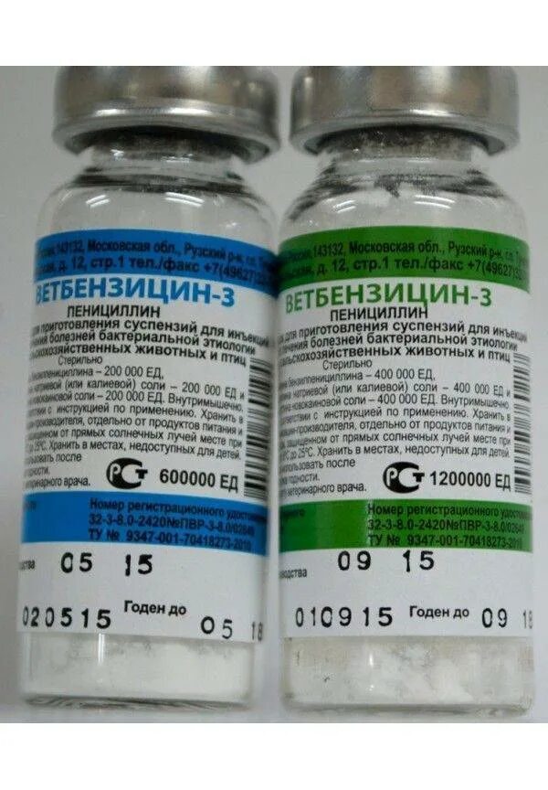 Бициллин 3 для животных. Антибиотик для животных ветбицин 5. Бициллин 3 ветбицин. Бициллин 1,5. Ветбицин-3 для собак дозировка.