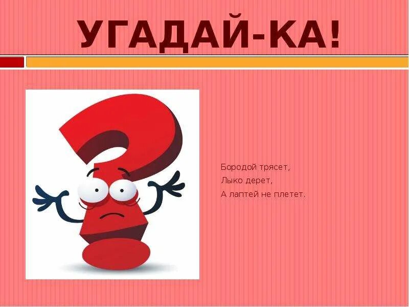 Бородой трясет лыко дерет. Загадка бородой трясет лыко дерет а лаптей не плетет. Отгадай загадки бородой трясет лыко дерет. Бородой трясет лыко дерет а лаптей отгадка. Бородой трясет лыко дерет а лаптей