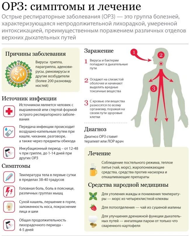 Грипп принимать профилактики. Острые респираторные заболевания (ОРЗ). Симптомы заболеваний ОРВИ ОРЗ. Проявления острой респираторной вирусной инфекции. ОРЗ симптомы и очаги поражения.