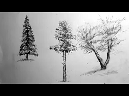 Видео рисования дерева