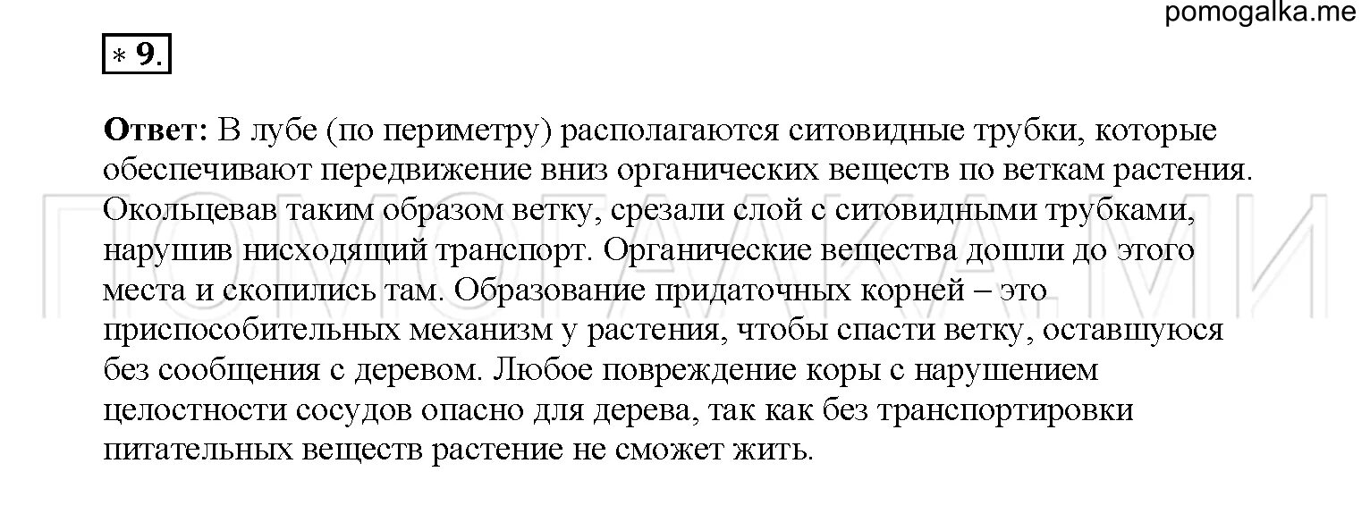 Передвижение веществ у растений 6. Транспорт веществ у растений 6 класс биология. Передвижение веществ у растений 6 класс биология. Таблица перемещения веществ в растении.