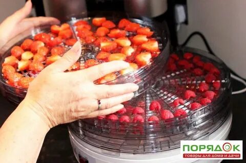 Какие фрукты можно сушить в электросушилке