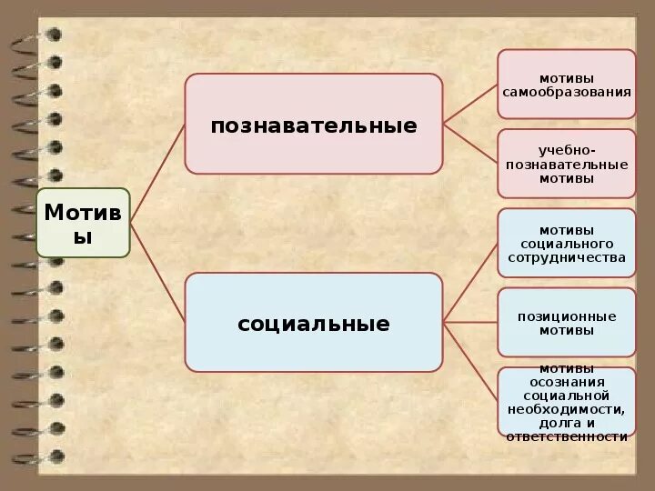 Какие мотивы вашей учебной деятельности почему