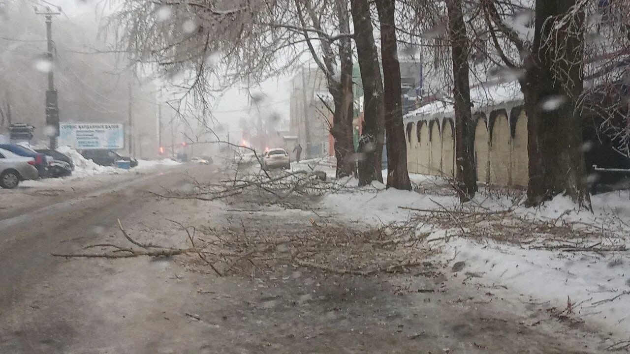 Дожди димитровград