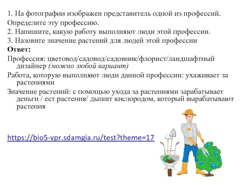 Чем полезна работа садовника обществу 4 класс. Профессия садовник. Какую работу выполняют люди своей профессии. Какую работу выполняют люди профессии садовник. Чем полезна профессия садовника.