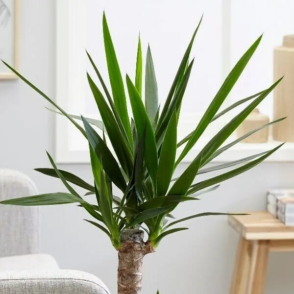 слова на букву н для детей. буква h. буква h. 5 букв н м а. предметы на букву н.