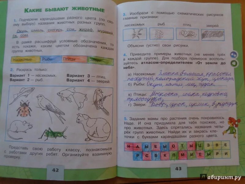 Тпо окружающий мир 2 класс стр 29. Окружающий мир 2 класс рабочая тетрадь стр 43. Окружающий мир 2 класс рабочая тетрадь 1 часть стр 43. Окруж мир 2 класс рабочая тетрадь 1 часть ст 42. Окружающий мир 2 класс рабочая тетрадь 1 часть стр 42 ответы.