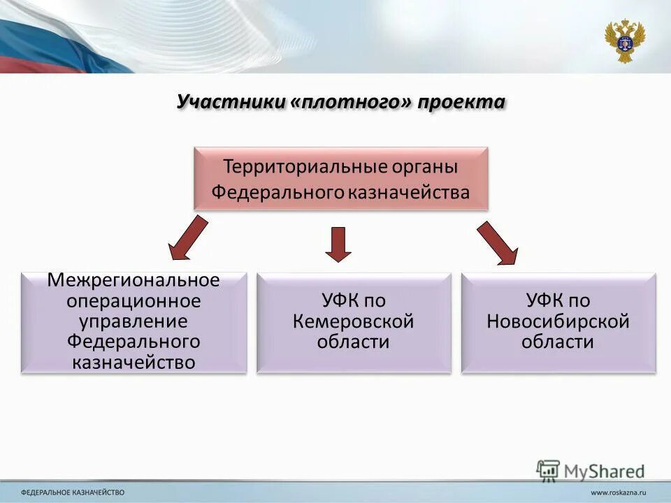 органы федерального казначейства