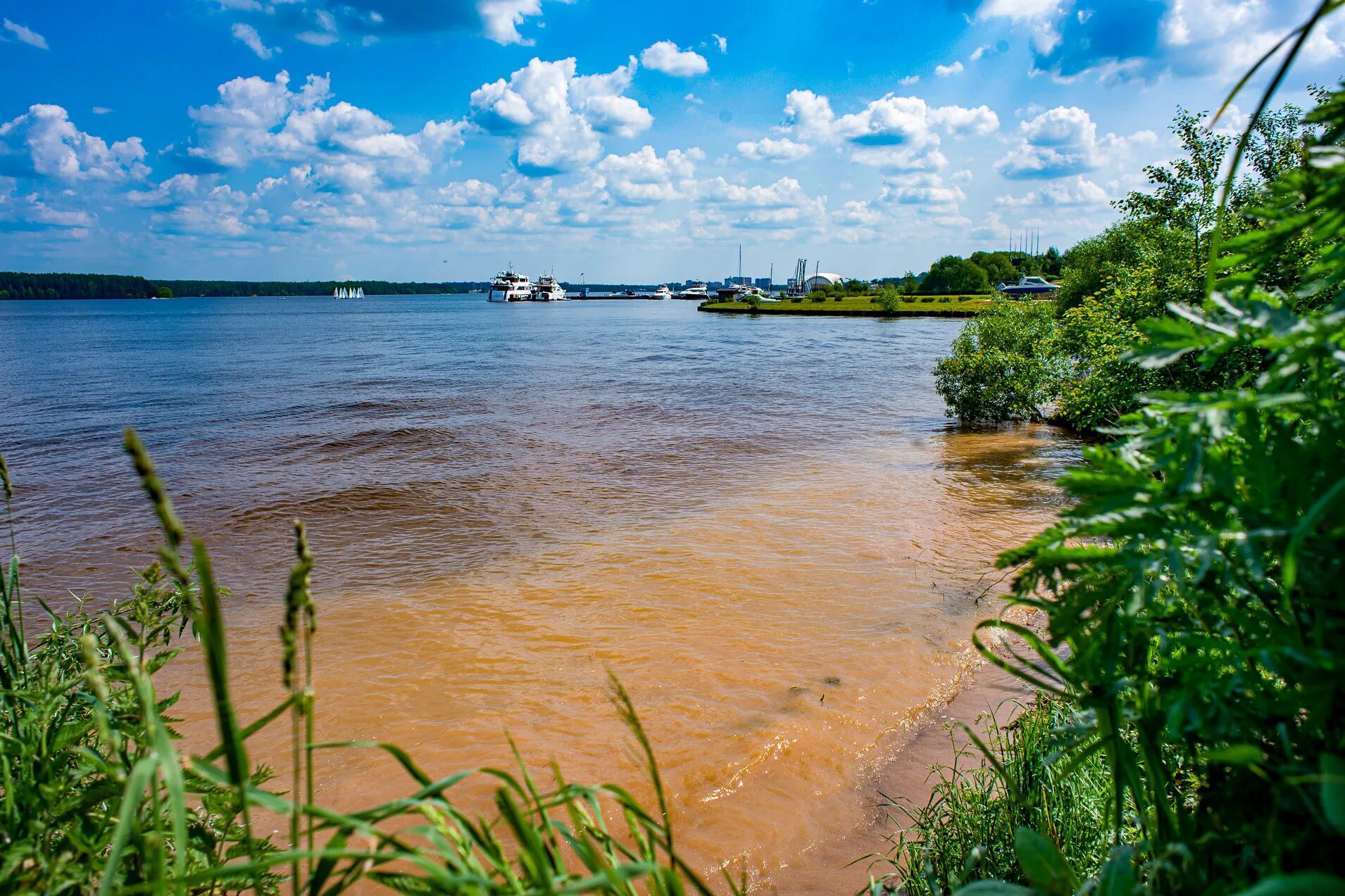 Клязьминское водохранилище мытищи. Пляж на клязьминском водохранилище бухта радости. Клязьминское водохранилище долгопрудный пляж. Пляж клязьминское. Пляж клязьминское.