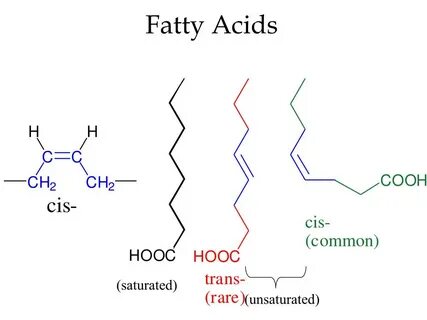 Fatty acids