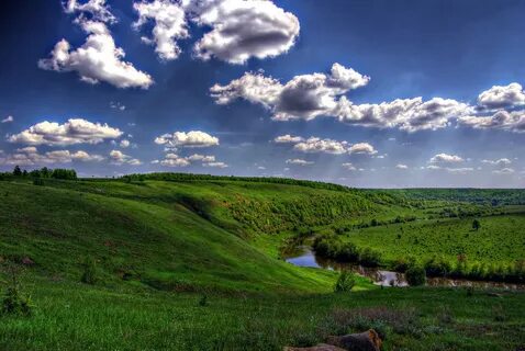 Природа русской равнины