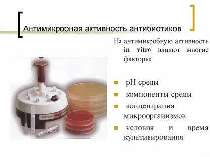 Активность в отношении микроорганизмов