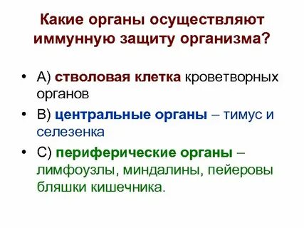Какая ткань защищает организм