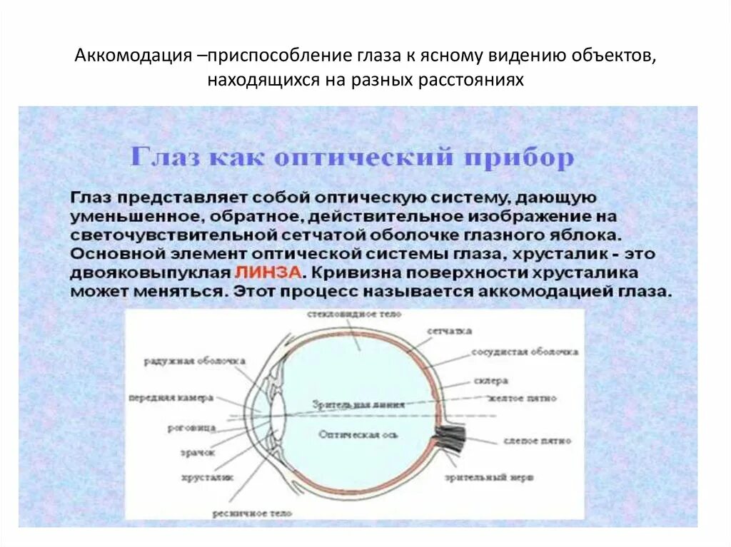 Аккомодация структуры. Аккомодация приспособление глаза. Аккомодация физиология зрения. Механизм аккомодации глаза. Механизм аккомодации хрусталика.