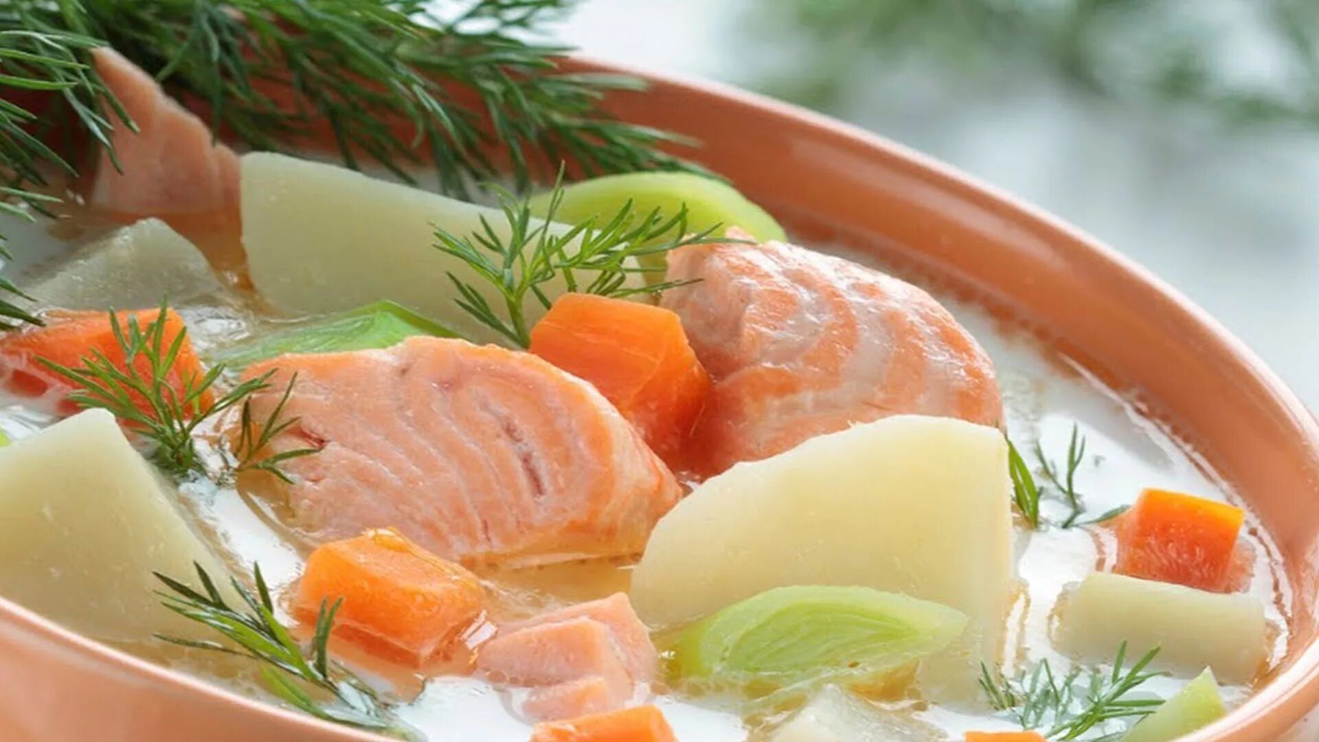 уха из семги. уха с семгой. рыбный суп с пшеном. уха из хребтов семги. рыбный суп из красной рыбы.