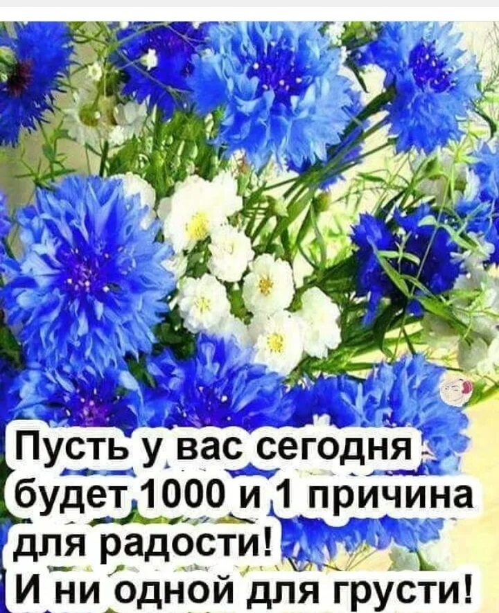 Васильки и пожелание счастливого дня. Добрые пожелания с васильками. Радость в новом дне пожелания. Открытки доброе утро хорошего дня. Открытка пусть все будет добрым