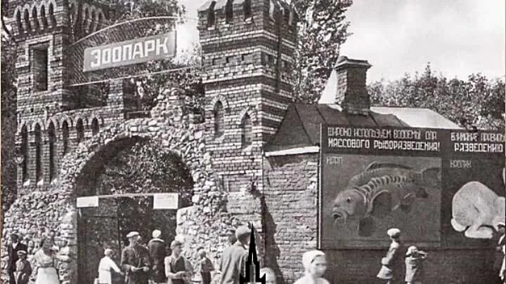 1. Московский зоопарк новая территория. Территория московского зоопарка. Московский зоопарк старая территория. Изолятор московский зоопарк 1970.