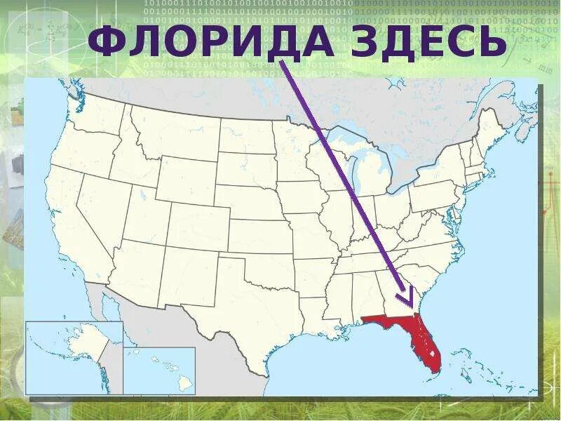 Географическое положение флориды. Карта штата флорида сша на русском. Флорида на карте америки. Штат флорида города на карте. Флорида на карте северной америки.