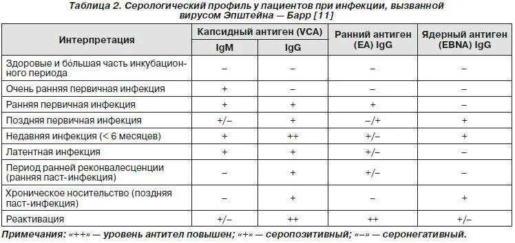 Антитела к вирусу Эпштейна Барр расшифровка. Таблица антитела к вирусу Эпштейна-Барр. Антитела IGG К вирусу Эпштейна-Барр. Вирус Эпштейна-Барр титры антител показатели. Epstein barr virus капсидный