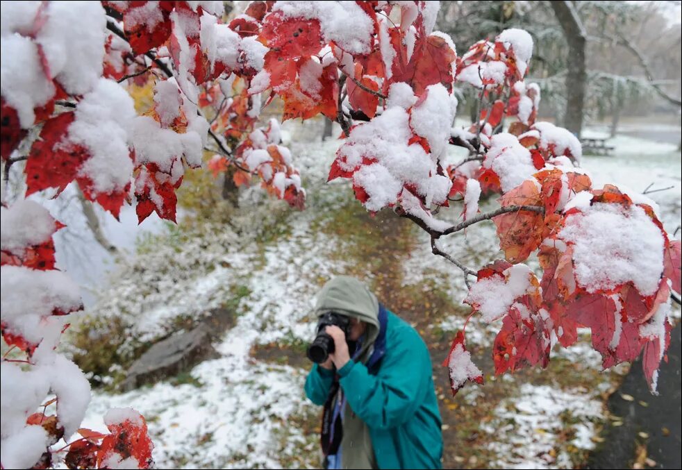 грядущей зимой. грядущей зимой. зима приближается сызнова. зима приближается. зима приближается.