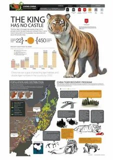 It is against the law to endangered
