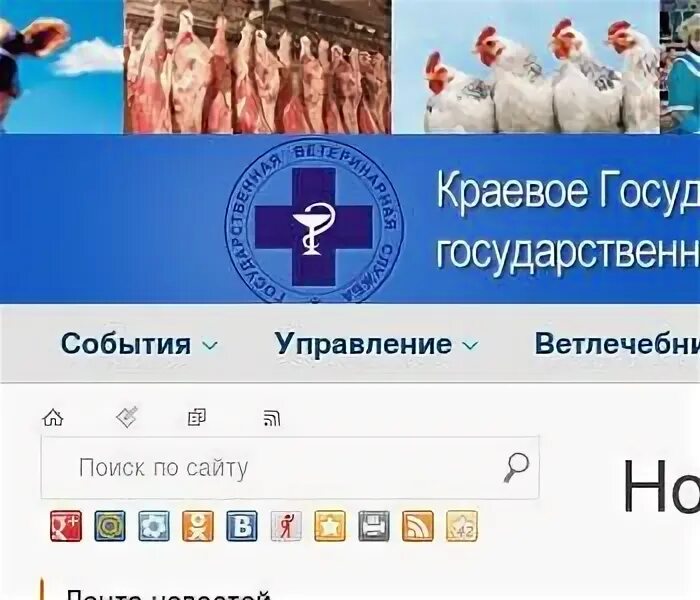 Гобву мо сббж ул академика книповича 51а. Гобву мо сббж ул академика книповича 51а
