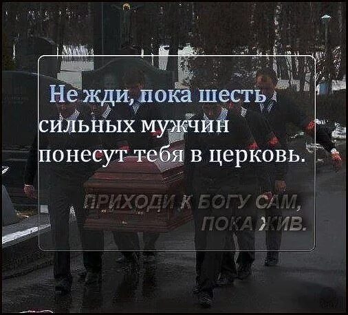 Смешные животные картинки с надписями. Открытки дела идут нормально. Я пока не хожу. Я пока не хожу. Пора спать спокойной ночи до завтра.