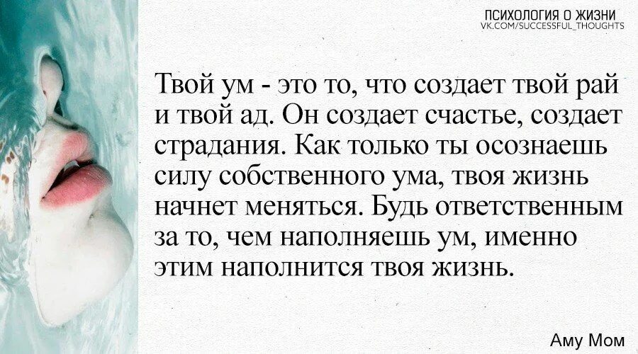 Твои раи