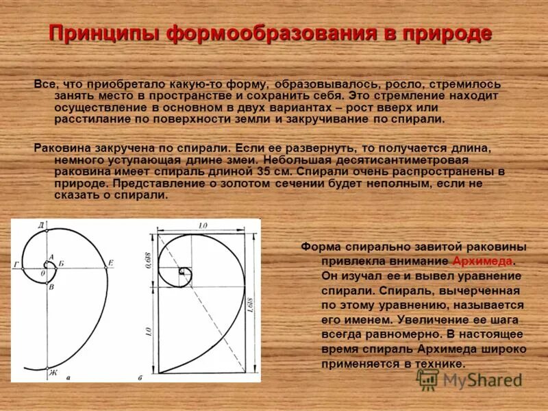 Почему трек имеет форму спирали. Спираль Архимеда. Спираль Архимеда форма. Спираль Архимеда золотое сечение. Спираль Архимеда формула.