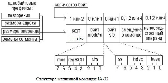 Сколько команд содержит программа. Структура и форматы машинных команд. структура машинной команды. кодированию машинных команд. структура однобайтовой команды.