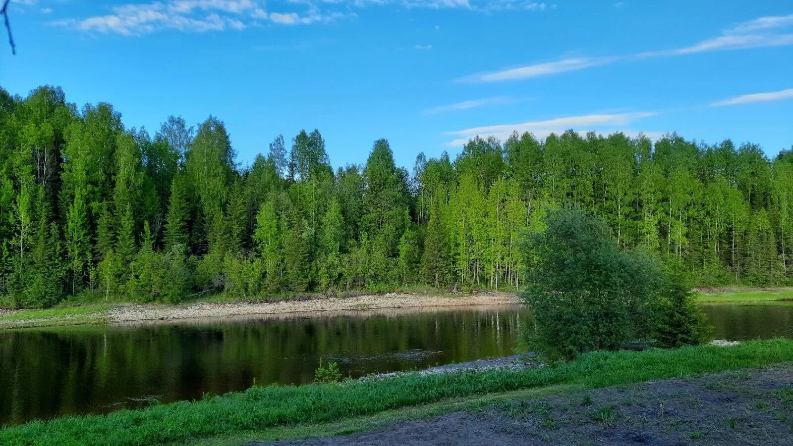 Река Ижма Республика Коми. Ухта река и Ижма. Сосногорск природа река Ижма. Пожня озеро Ухта.