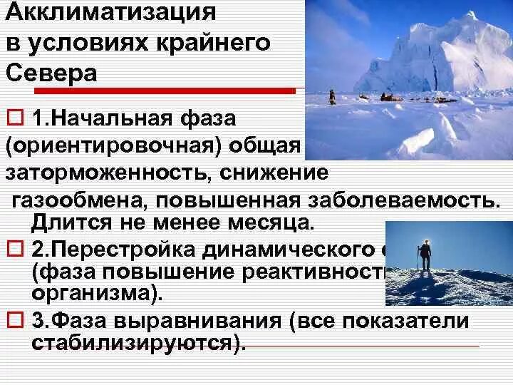 Акклиматизация в условиях севера. Акклиматизация в условиях крайнего севера. Адаптация к условиям севера. Особенности акклиматизации в условиях крайнего севера. Особенности питания в условиях экстремального климата