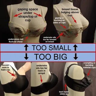 boobs spill out of bra inside top - www.mkcracing.com.au.