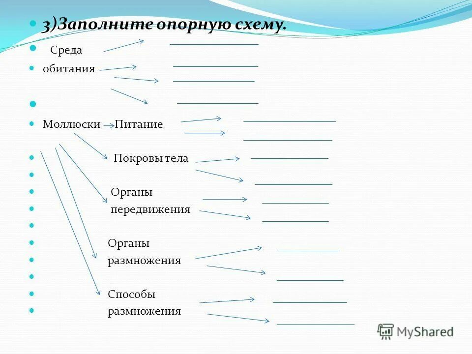 слова синонимы.