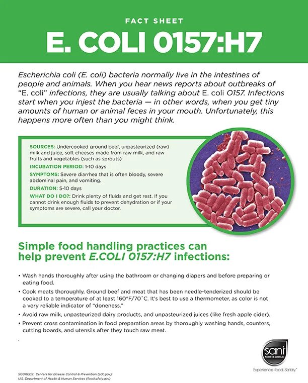 Coli sotwe. Е. coli. Escherichia coli в биотехнологии. Эшерихия коли по латыни.