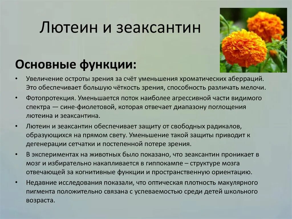 Лютеин и зеаксантин продукты. Лютеин каротиноид. Лютеин и зеаксантин. Лютеина и зеаксантина. Травы содержащие лютеин зеаксантин.